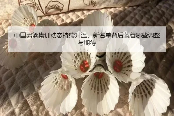中国男篮集训动态持续升温，新名单背后藏着哪些调整与期待